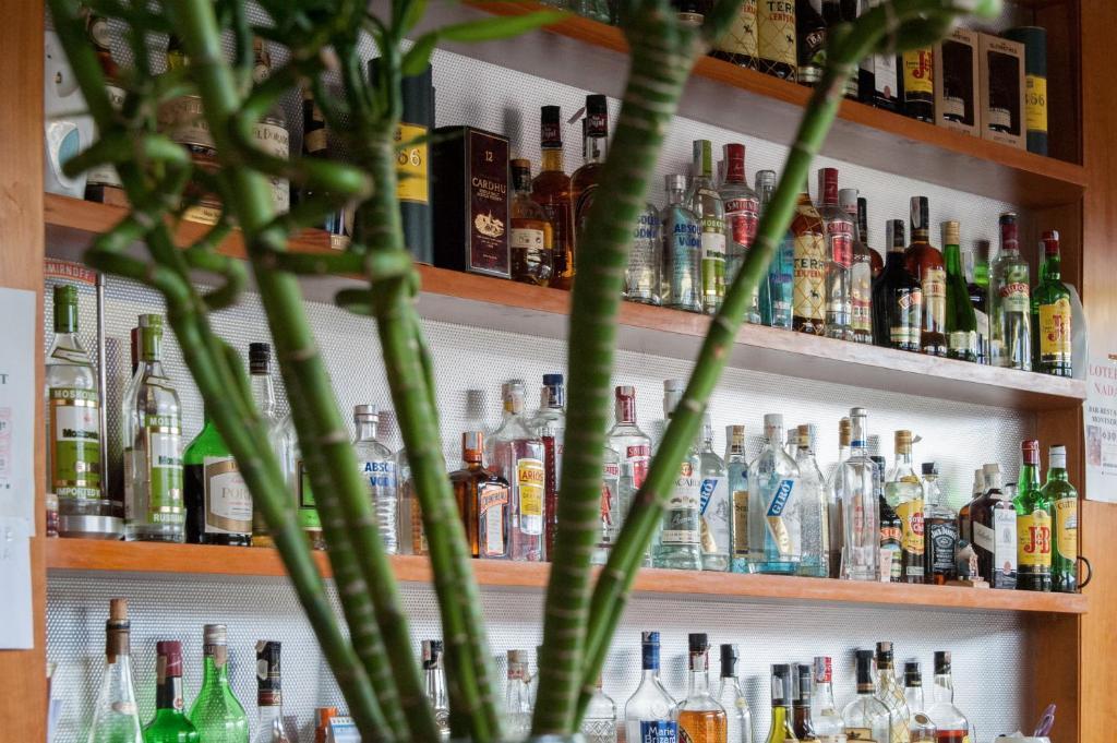 Hostal Montserrat Tona 部屋 写真